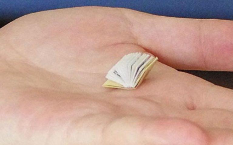 Išvyka į Šiaulius – skaitymo ir ugdymo idėjų paieškos